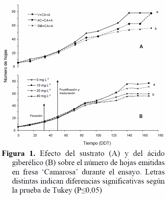 Efecto de diferentes sustratos y ácido giberélico sobre el crecimiento